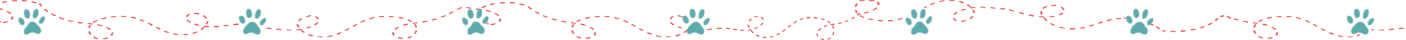paw border