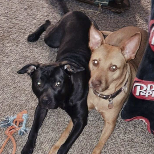 STAFF IMAGE COMING SOON